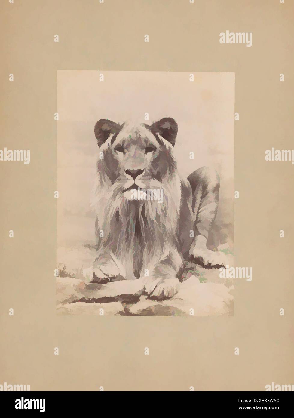 Art inspiré par Lion, Ottomar Anschütz, c. 1888, carton, imprimé albumine, hauteur 205 mm × largeur 149 mm, oeuvres classiques modernisées par Artotop avec une touche de modernité. Formes, couleur et valeur, impact visuel accrocheur sur l'art émotions par la liberté d'œuvres d'art d'une manière contemporaine. Un message intemporel qui cherche une nouvelle direction créative. Artistes qui se tournent vers le support numérique et créent le NFT Artotop Banque D'Images