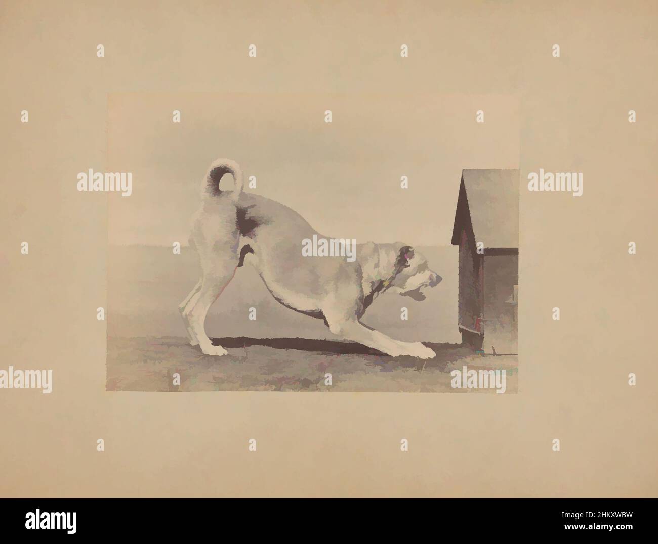 Art inspiré par chien dans une position attaquante face à un stylo, Ottomar Anschütz, c. 1886, carton, imprimé albumine, hauteur 147 mm × largeur 202 mm, oeuvres classiques modernisées par Artotop avec une touche de modernité. Formes, couleur et valeur, impact visuel accrocheur sur l'art émotions par la liberté d'œuvres d'art d'une manière contemporaine. Un message intemporel qui cherche une nouvelle direction créative. Artistes qui se tournent vers le support numérique et créent le NFT Artotop Banque D'Images
