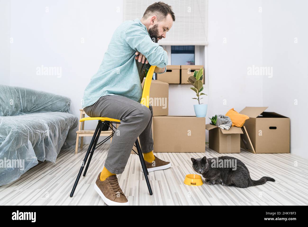 L'homme est assis sur une chaise jaune devant son chat avec le fond des boîtes mobiles, tout en se déplaçant dans un nouvel appartement. Banque D'Images