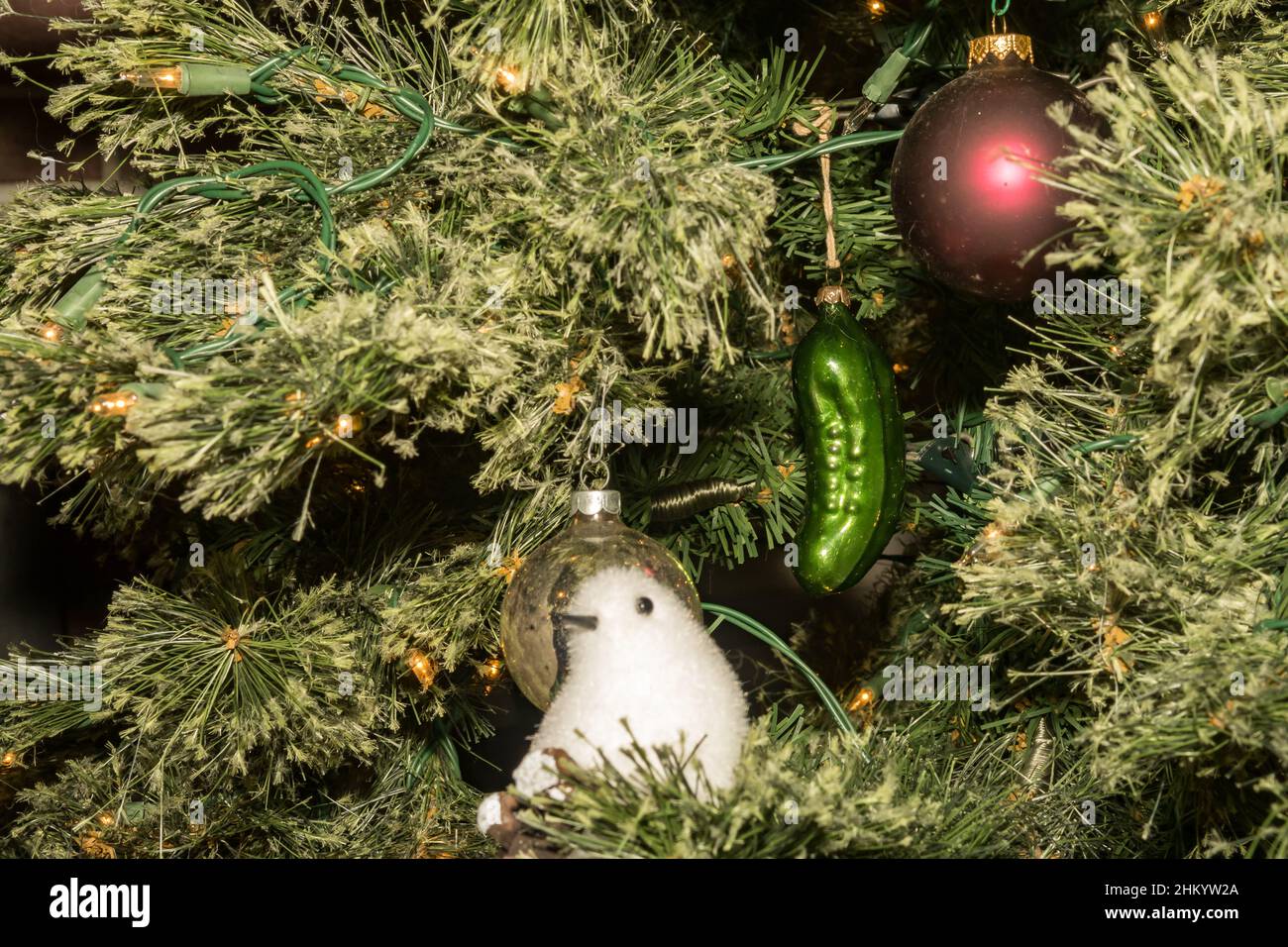 Tradition allemande de Hiding the Christmas Pickle Banque D'Images