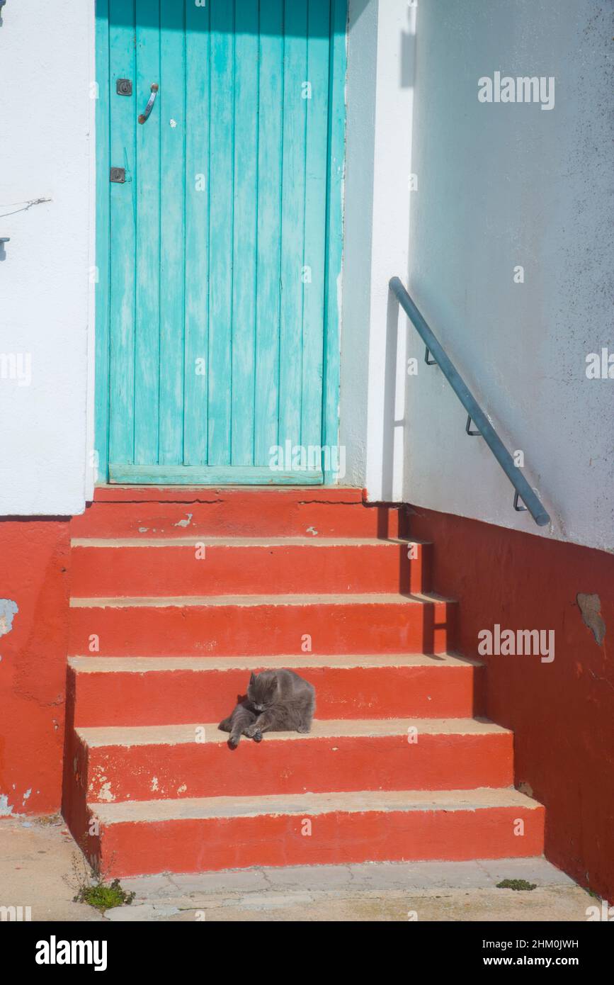 Cat bains de soleil dans les escaliers. Banque D'Images