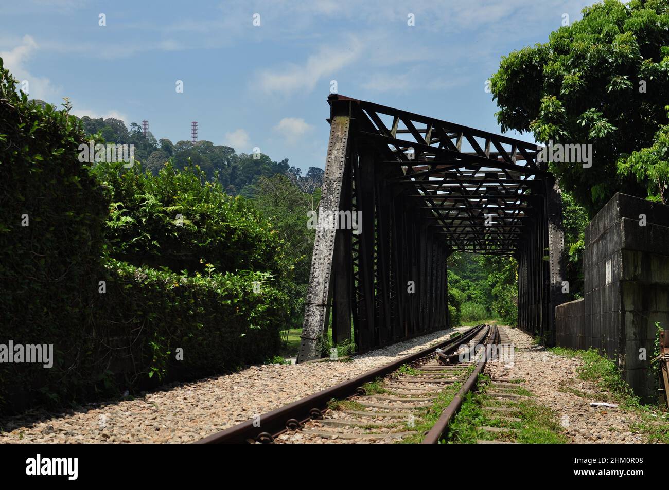 Partie du couloir ferroviaire de Singapour - un passage vert continu de 24 km de long qui permet le déplacement de la faune entre les grands espaces verts Banque D'Images