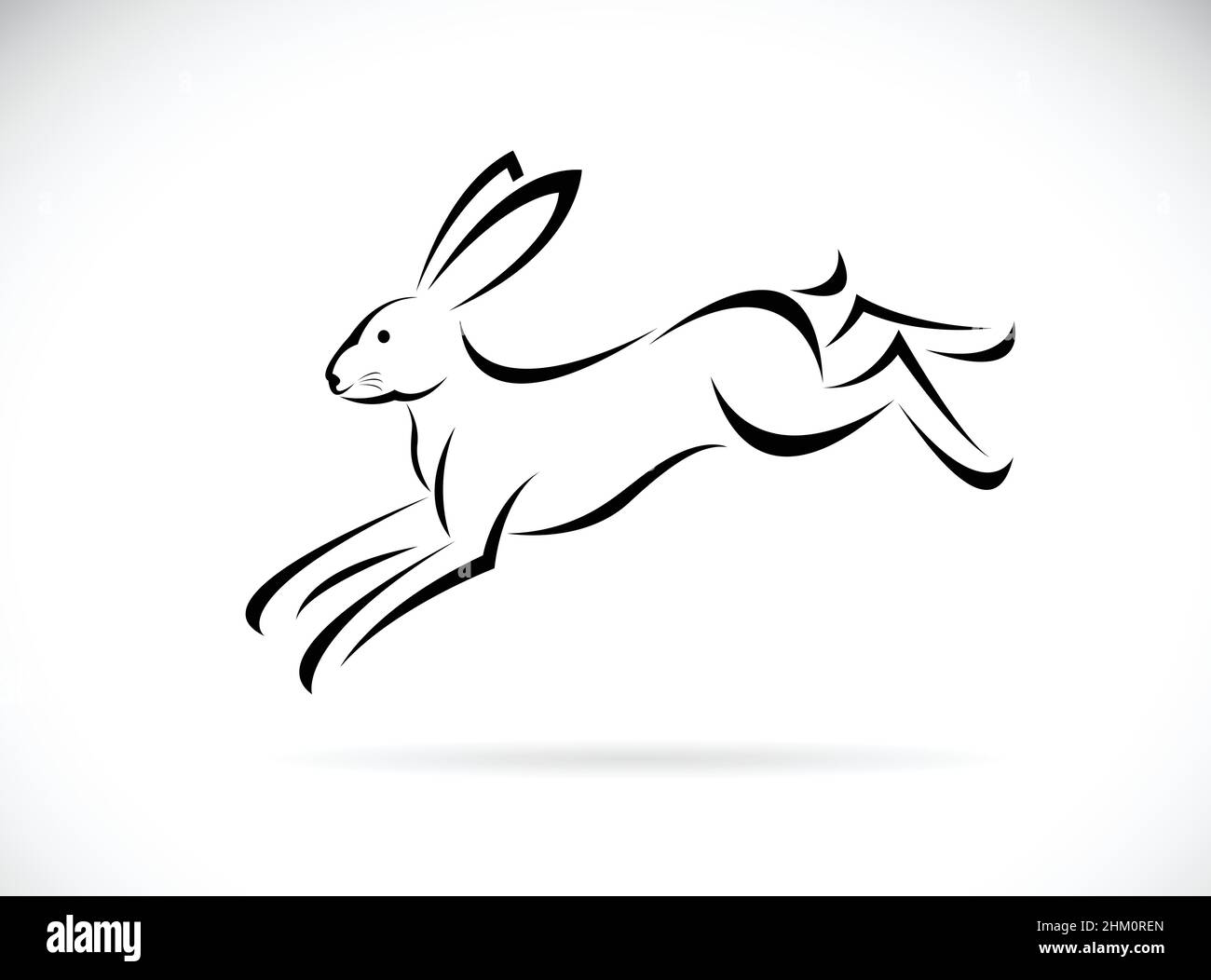 Motif de course de lapin sur fond blanc.Illustration vectorielle superposée facile à modifier.Animaux sauvages. Illustration de Vecteur