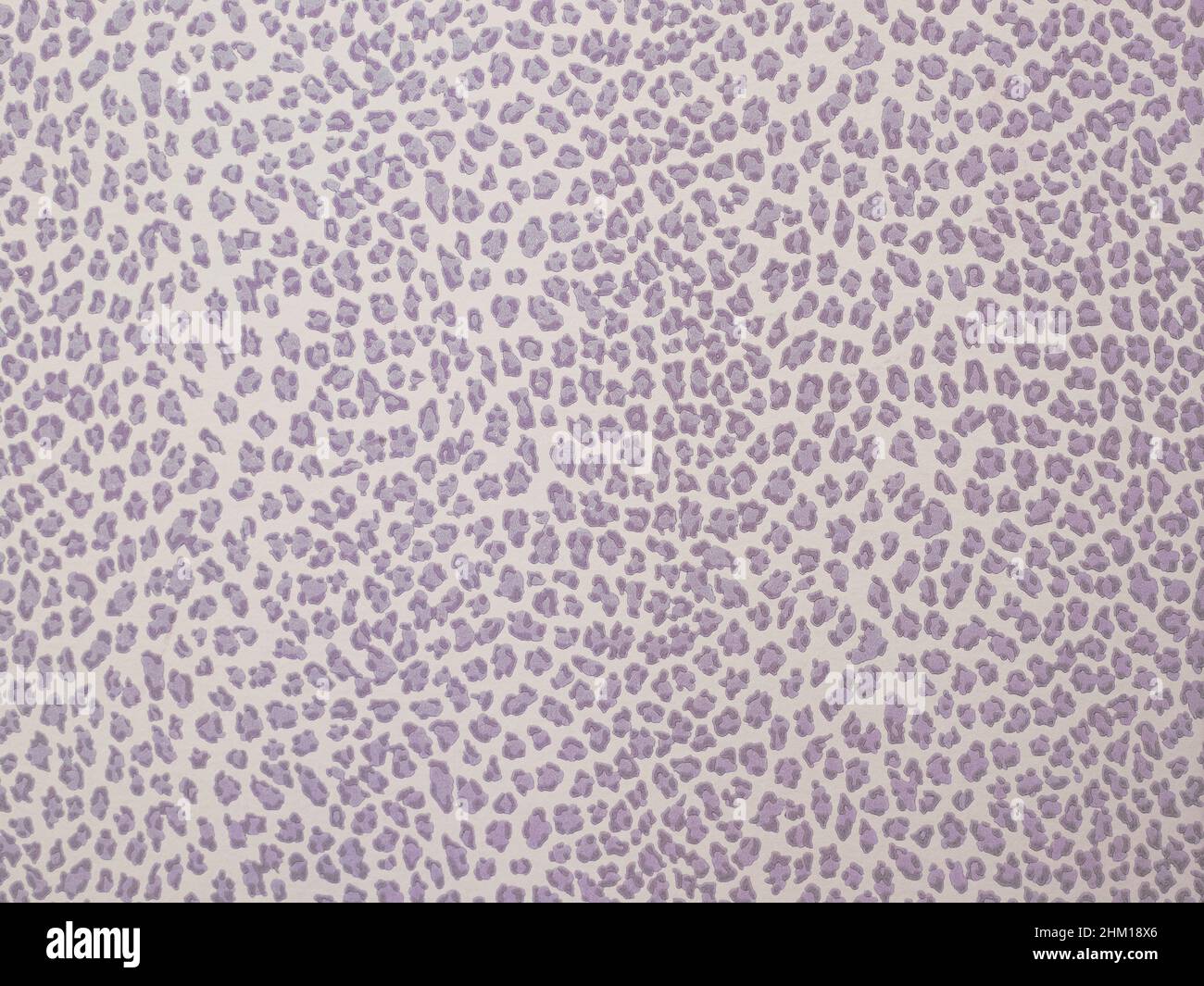 arrière-plan violet imprimé guépard Banque D'Images