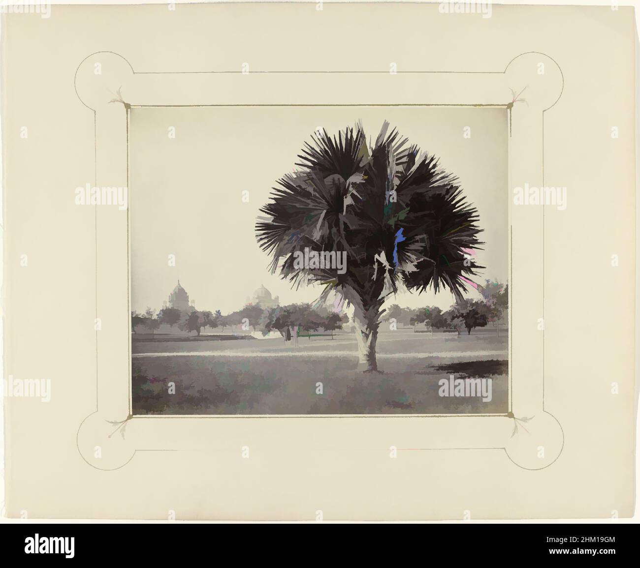 Art inspiré par le palmier à Lucknow, Une étude sur le palmier, Lucknow, Samuel Bourne (signé par l'artiste), Lucknow, 1864 - 1866, papier, imprimé albumine, Hauteur 234 mm × largeur 288 mm hauteur 393 mm × largeur 480 mm, oeuvres classiques modernisées par Artotop avec une touche de modernité. Formes, couleur et valeur, impact visuel accrocheur sur l'art émotions par la liberté d'œuvres d'art d'une manière contemporaine. Un message intemporel qui cherche une nouvelle direction créative. Artistes qui se tournent vers le support numérique et créent le NFT Artotop Banque D'Images