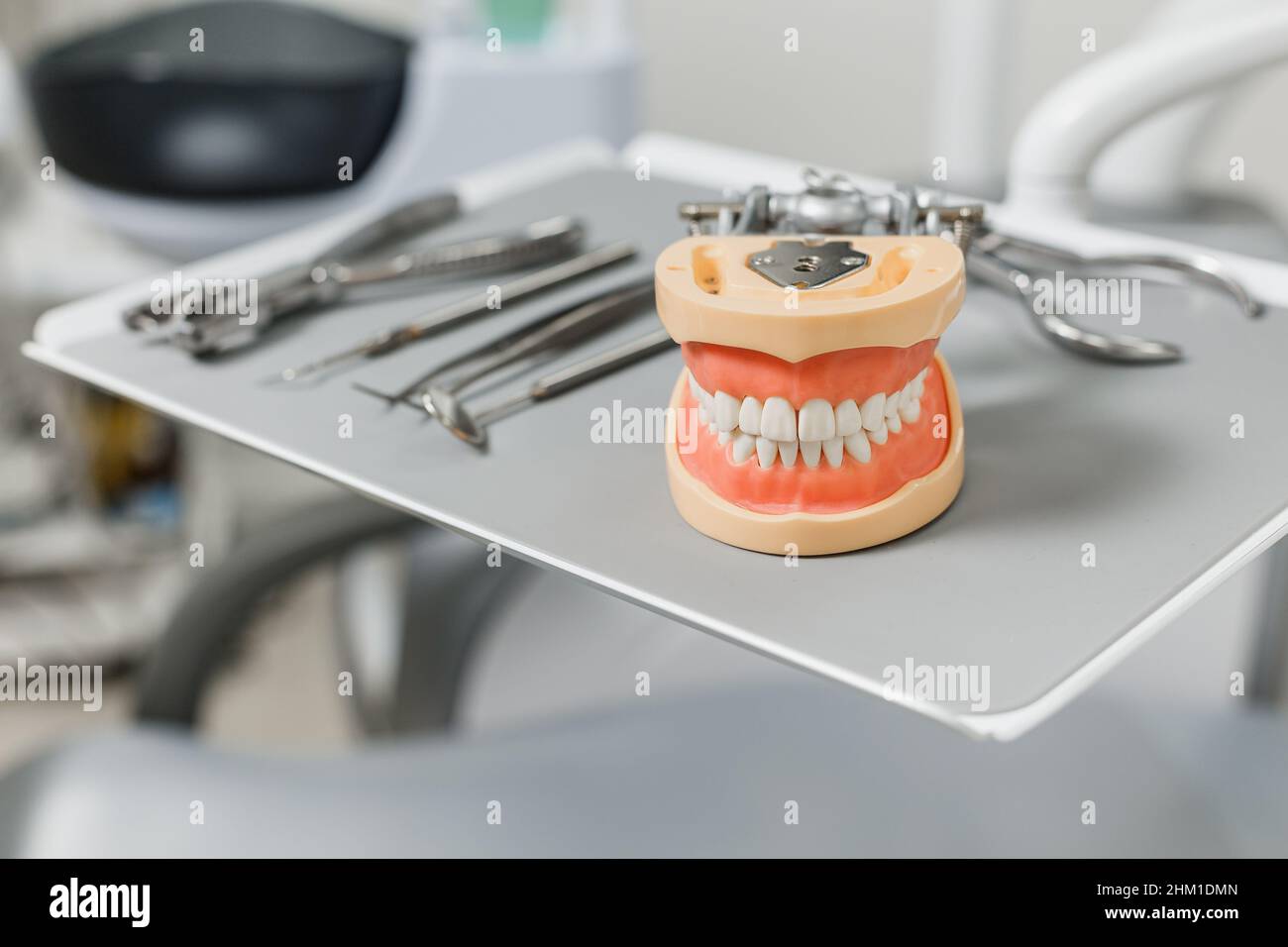 Maquette de mâchoires humaines reposant sur des outils dentaires.Vue rapprochée du modèle de dents dans l'armoire du médecin.Photo de concept sur le thème dentaire. Banque D'Images