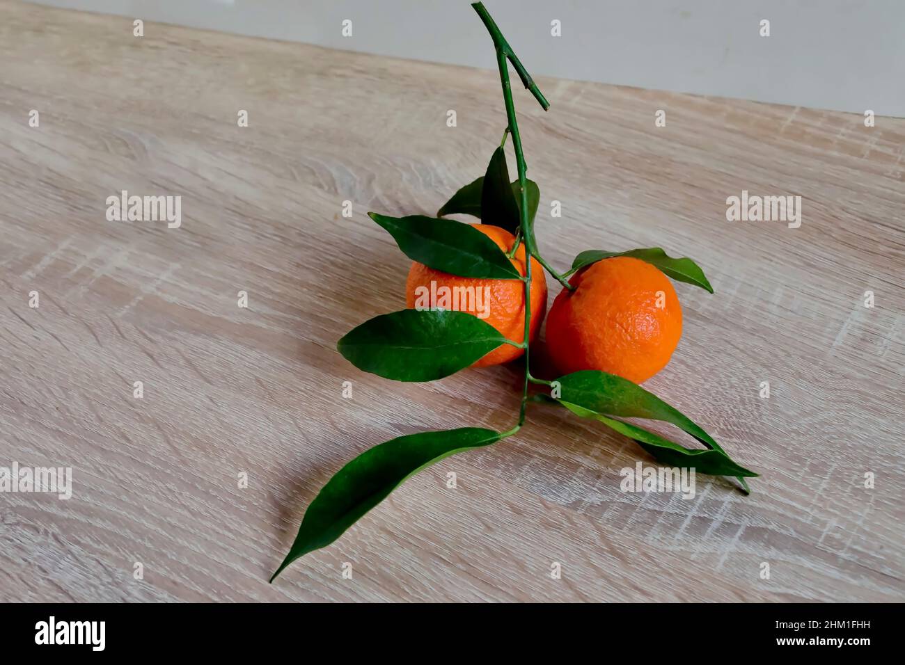 Brindilles aux fruits de mandarine mûrs frais et feuilles vertes sur fond de bois, Sofia, Bulgarie Banque D'Images