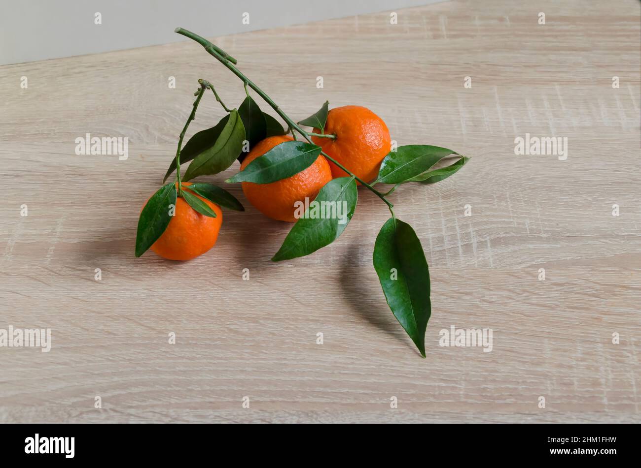 Brindilles aux fruits de mandarine mûrs frais et feuilles vertes sur fond de bois, Sofia, Bulgarie Banque D'Images