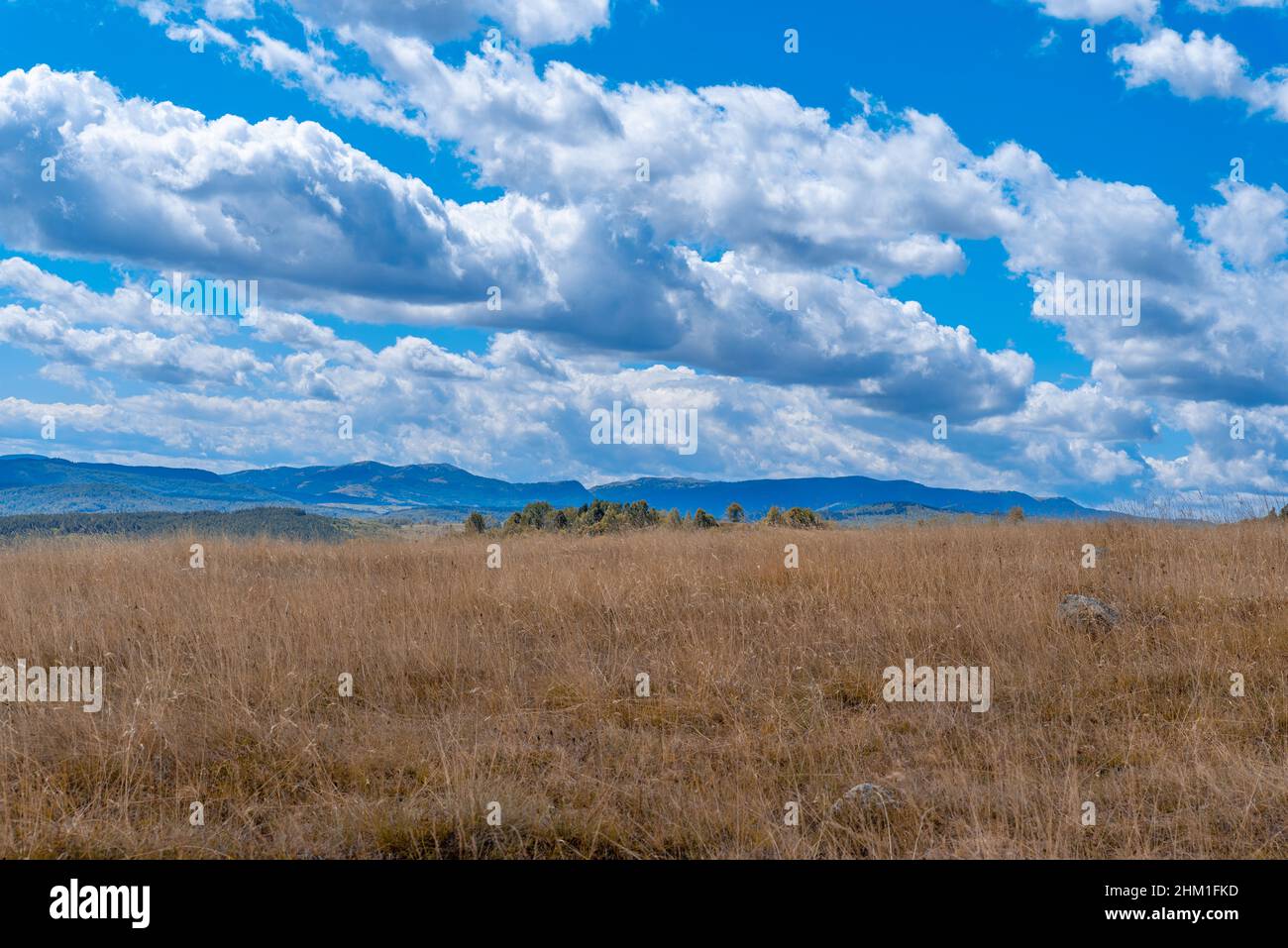 Campagne magnifique prairie jaune sur la montagne avec ciel nuageux Banque D'Images Campagne magnifique prairie jaune sur la montagne avec ciel nuageux Banque D'Images