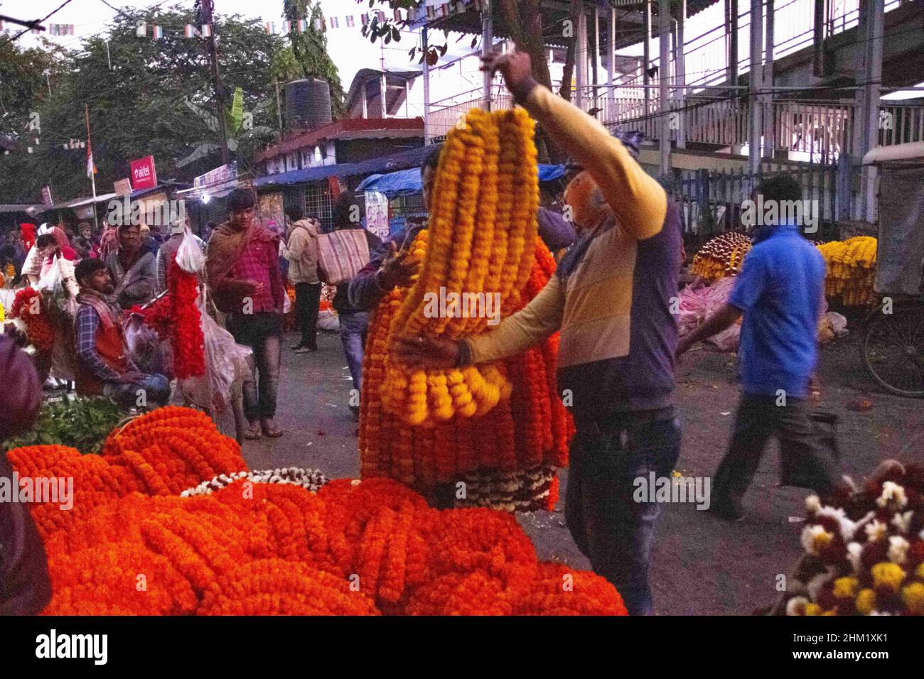 Kolkata, Bengale occidental, Inde.4th févr. 2022.En raison des pluies non saisonnières de décembre et janvier, les fleurs ont commencé à pourrir.La quantité de dommages est devenue plus claire pour le fleuriste que l'intensité du soleil a augmenté un peu.Les pétales sont pourris dès que l'eau froide gonfle.Demain Saraswati Puja, l'offre de fleurs diminue mais la demande est élevée en raison de Saraswati Puja et le mariage.C'est pourquoi le prix des fleurs est en hausse vertigineuse.On peut voir les guirlandes de Ganda et de cerise sur le col de l'idole.Ces deux fleurs ne pouvaient pas résister aux pluies de novembre, décembre et janvier.Même vers l'arrière Banque D'Images