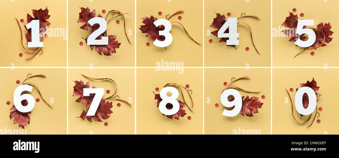 Chiffres un à dix et zéro avec des feuilles de chêne rouge d'automne et des confetti sur fond de papier jaune Banque D'Images