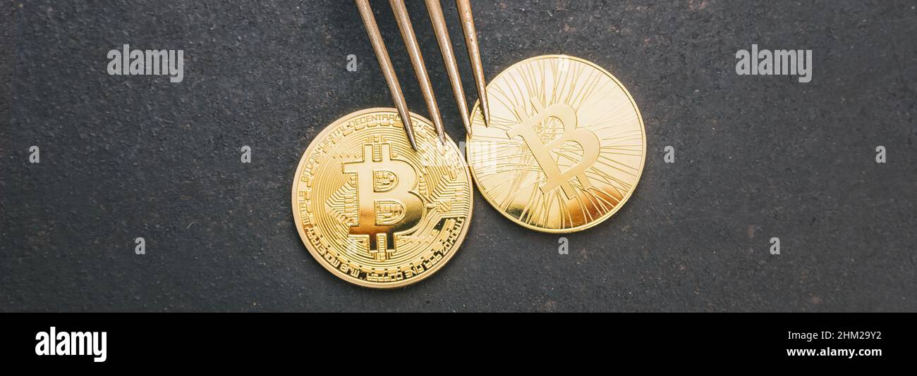 bitcoin (BTC) et Bitcoin Cash (BCH) Hard Fork, image de concept de crypto-monnaie numérique, taille de bannière Banque D'Images