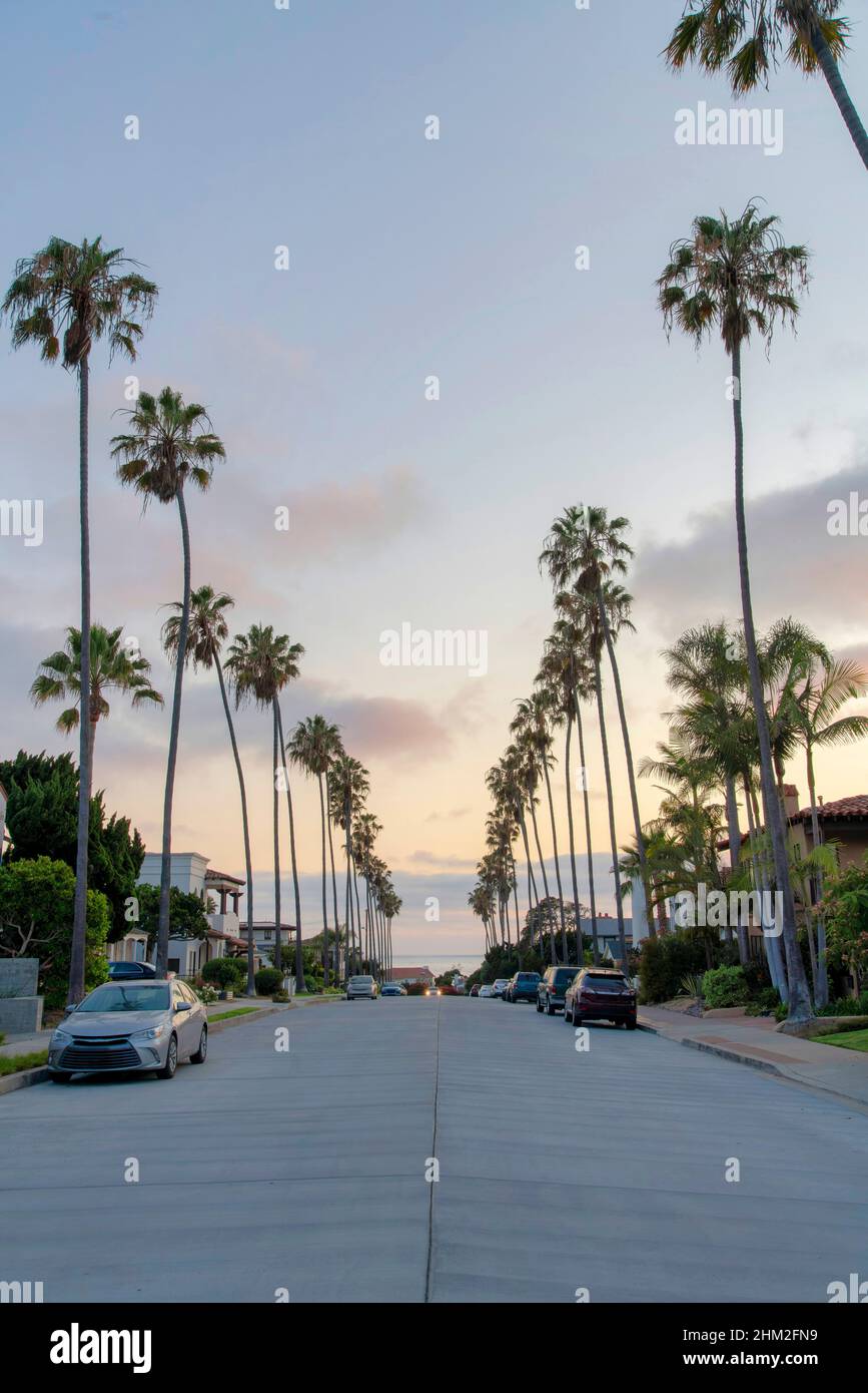 Véhicules garés sur le côté d'une route en béton à la Jolla, Californie Banque D'Images