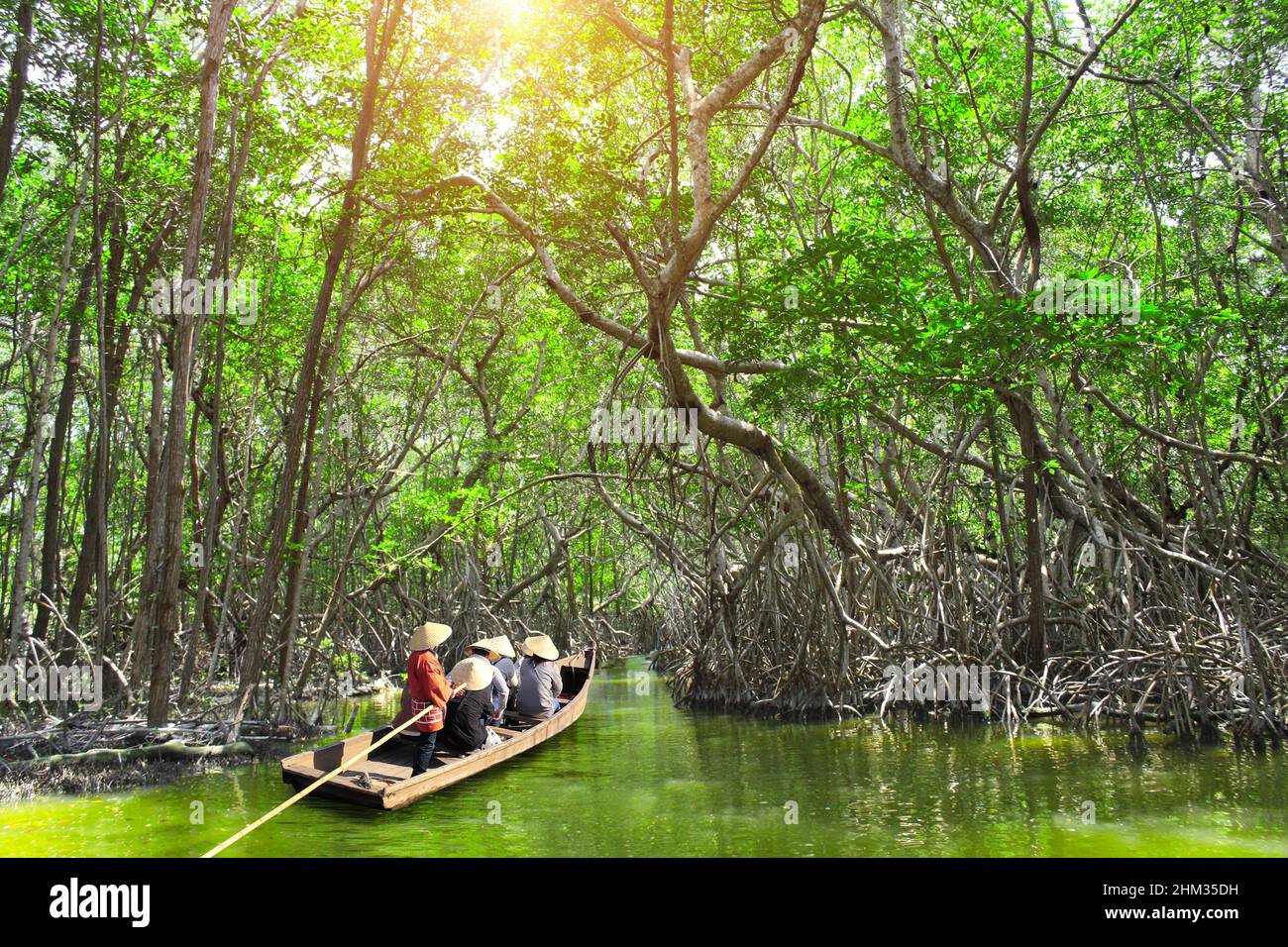 Les gens font du canotage dans la forêt de mangroves, en Asie. Une attraction touristique - promenade en bateau à travers les canaux de mangrove Banque D'Images
