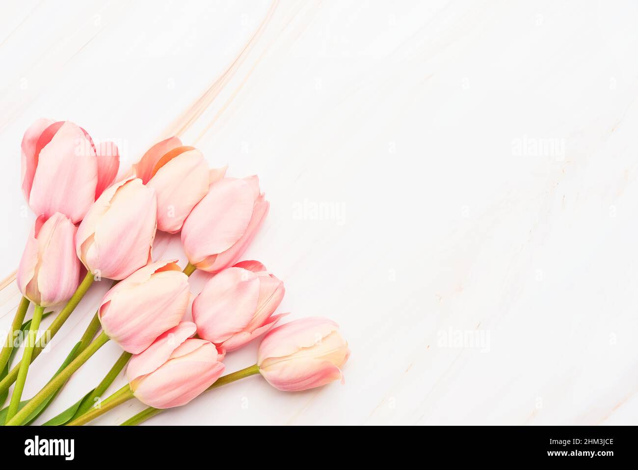 Bouquet de tulipes roses sur fond de marbre.Fête des mères, Saint-Valentin, concept de célébration d'anniversaire Banque D'Images