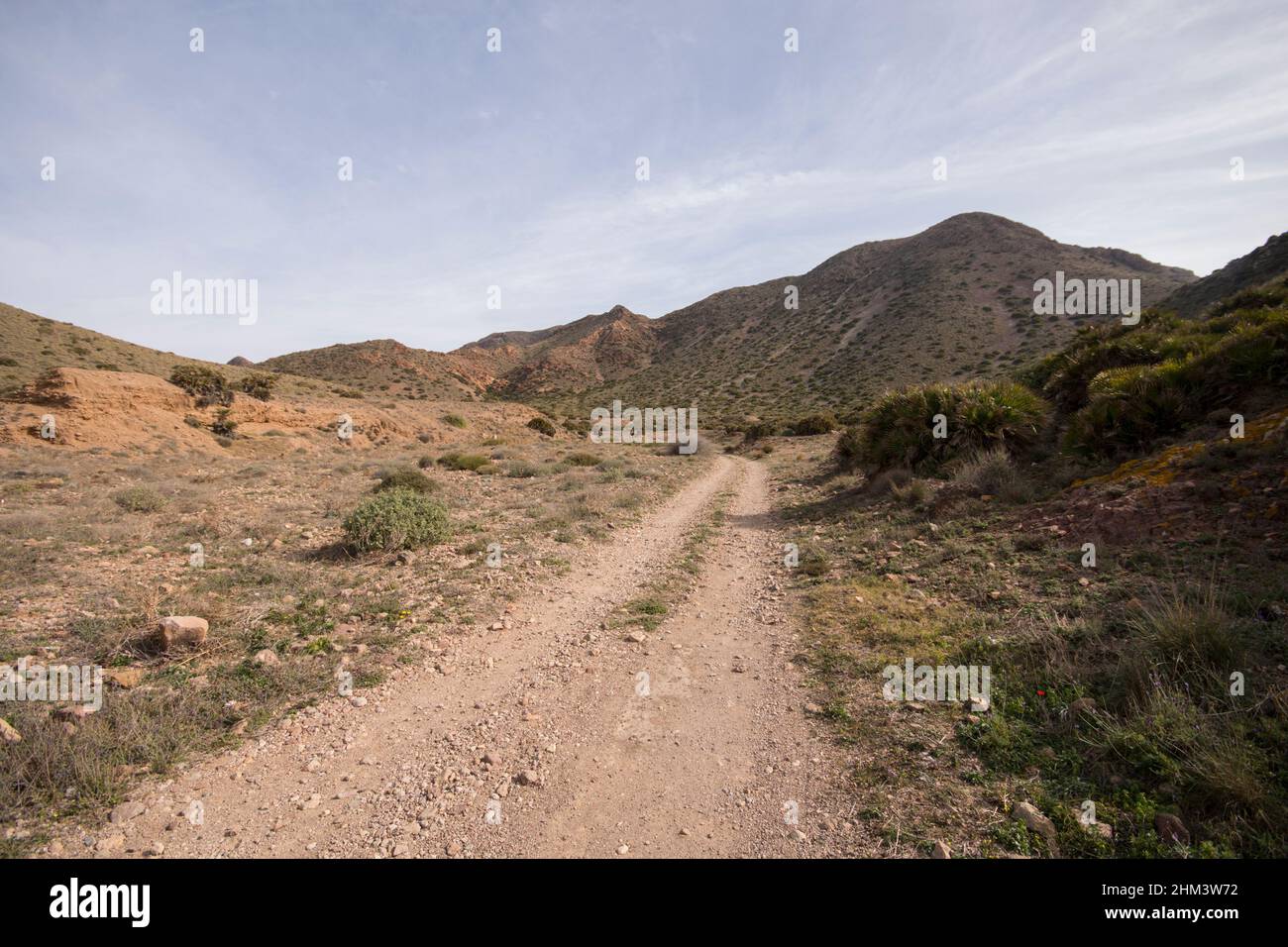 Route de terre, paysage semi-désertique de la réserve naturelle Cabo de gata. Almeria, Andalousie, sud de l'Espagne. Banque D'Images