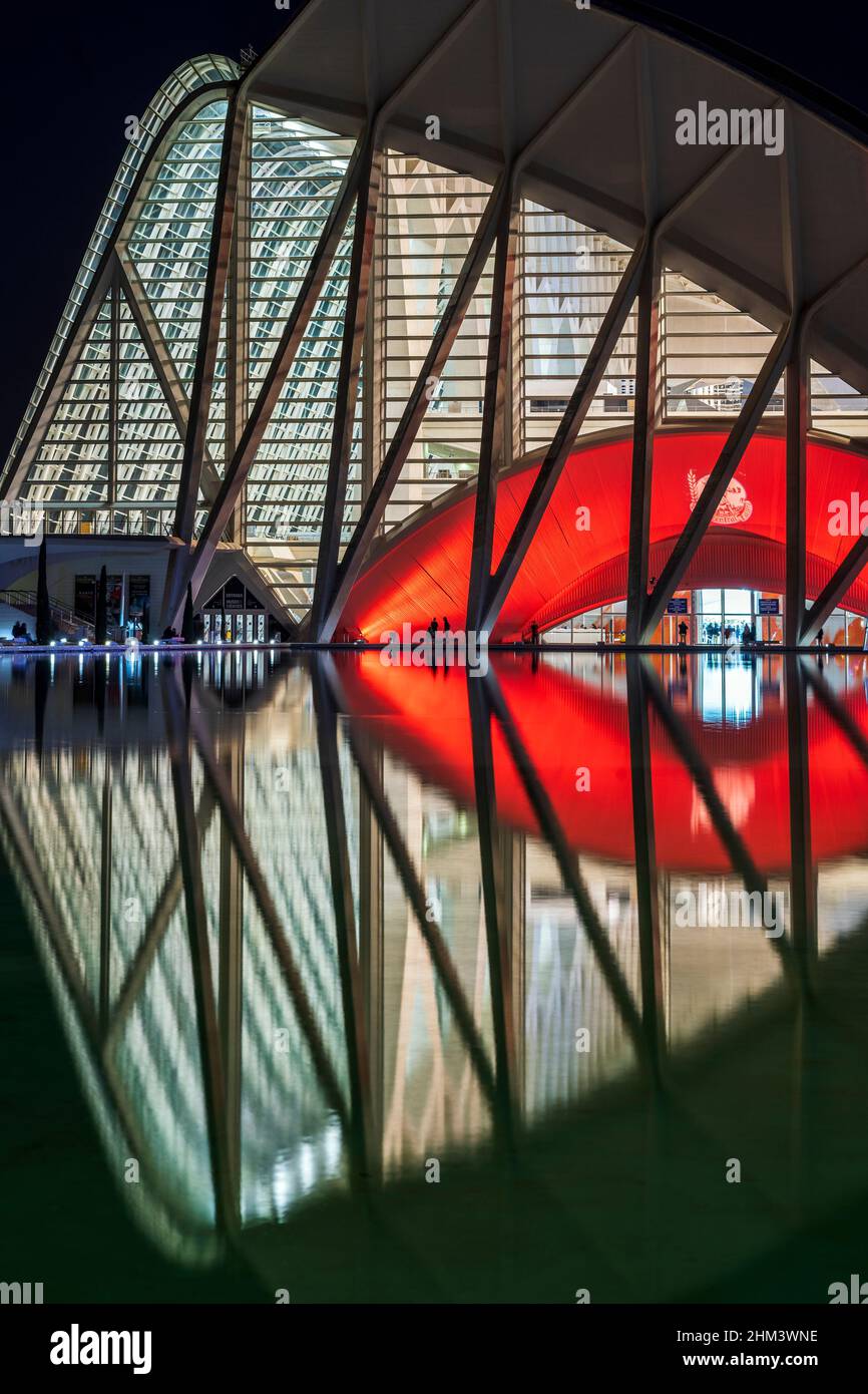 Vue nocturne de la Cité des Arts et des Sciences (Ciudad de las Artes y las Ciencias), Valence, Espagne Banque D'Images