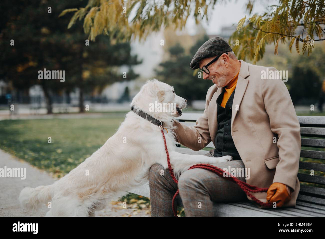 Heureux homme senior assis sur le banc et embrassant son chien à l'extérieur dans le parc de la ville. Banque D'Images