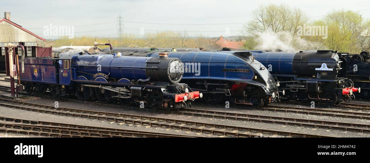 La gamme de locomotives à l'événement « une fois dans une lune bleue » au Didcot Railway Centre, domicile de la Great Western Society, 5th avril 2014. Banque D'Images