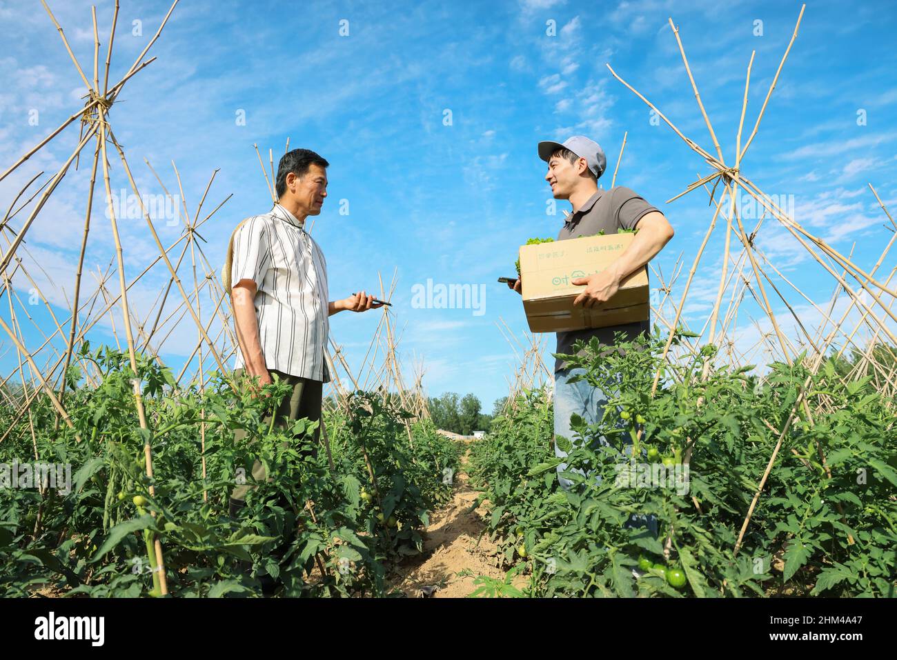 Les agriculteurs expriment des légumes Banque D'Images