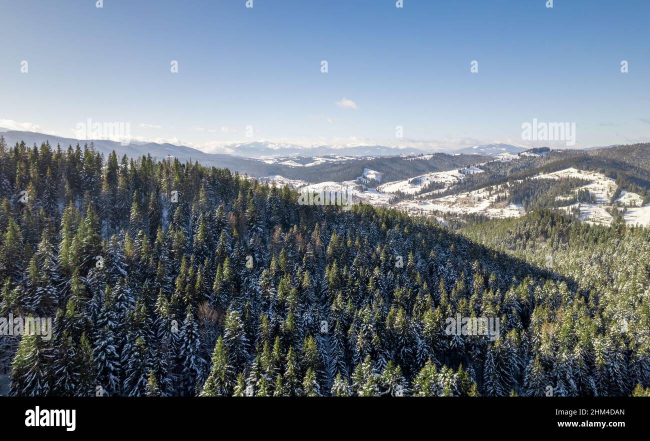 Paysage de montagne d'hiver.Les collines sont couvertes de forêt d'épicéa et de neige. Banque D'Images