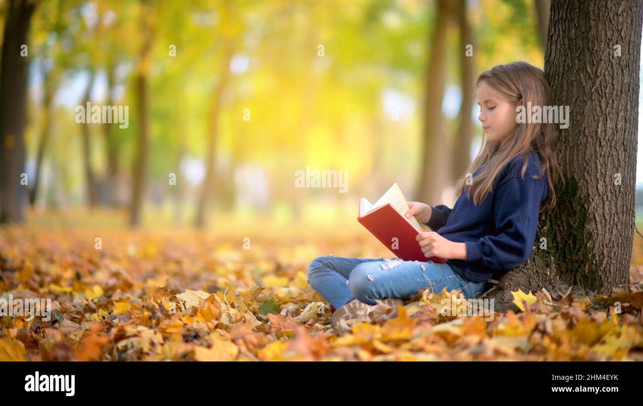 Cute girl assis sous un arbre dans le parc de stationnement de l'automne et la lecture d'un livre. L'enfance. L'éducation. Banque D'Images