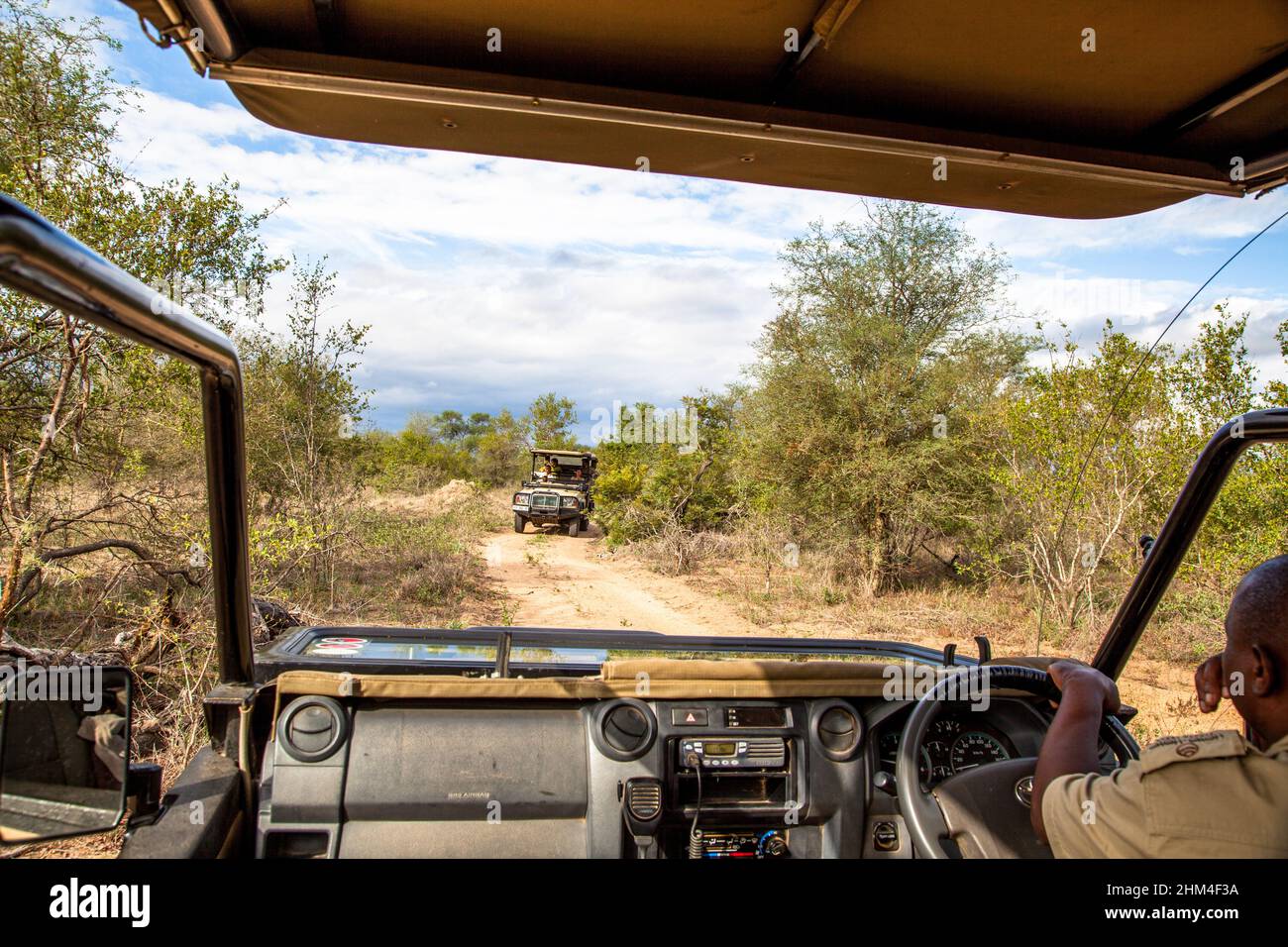 Safari sauvage en Afrique du Sud. Vue depuis le camion de safari. Route dans les buissons de savane. Banque D'Images