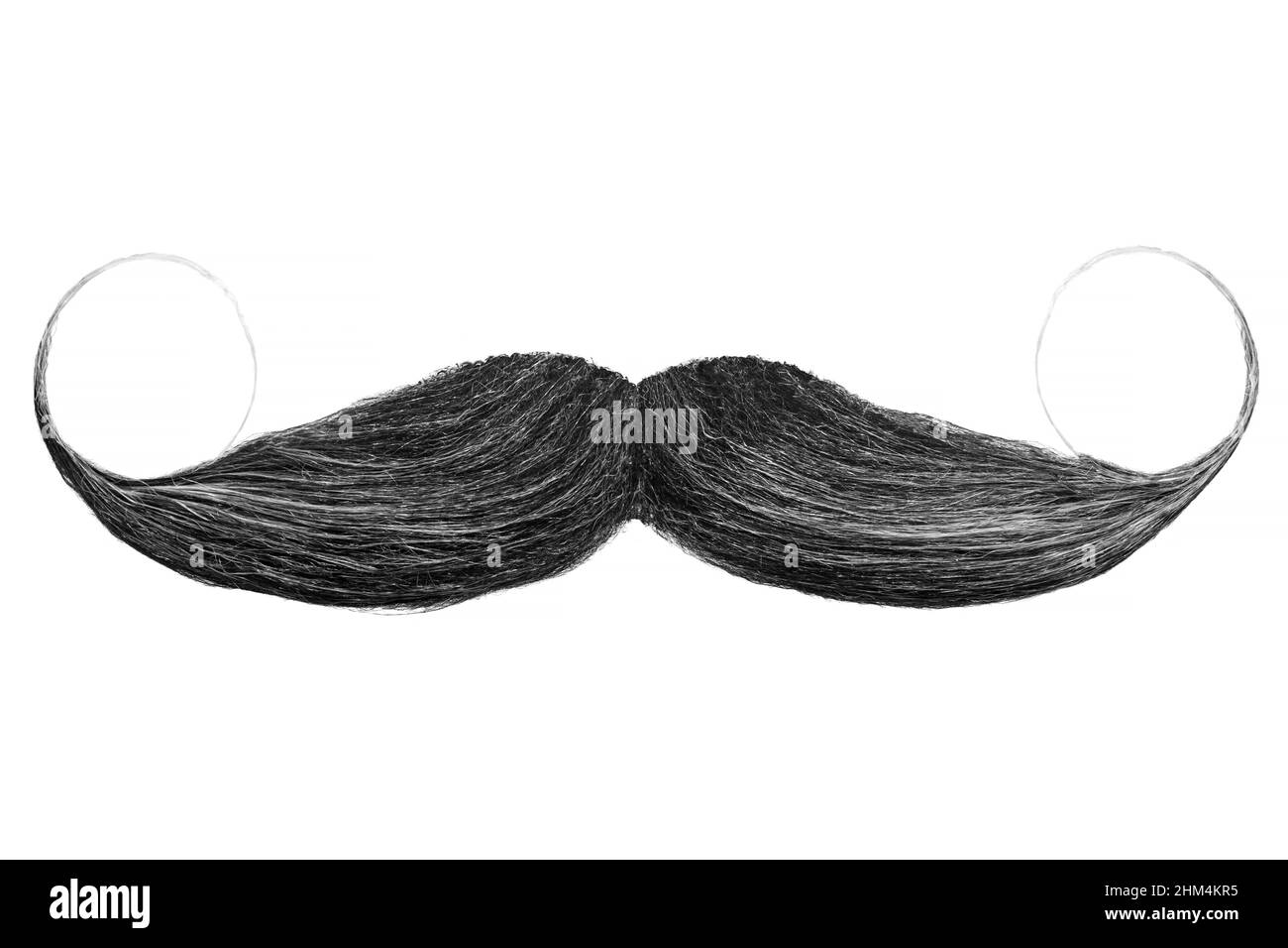 Moustache noire bouclés isolée sur fond blanc Banque D'Images
