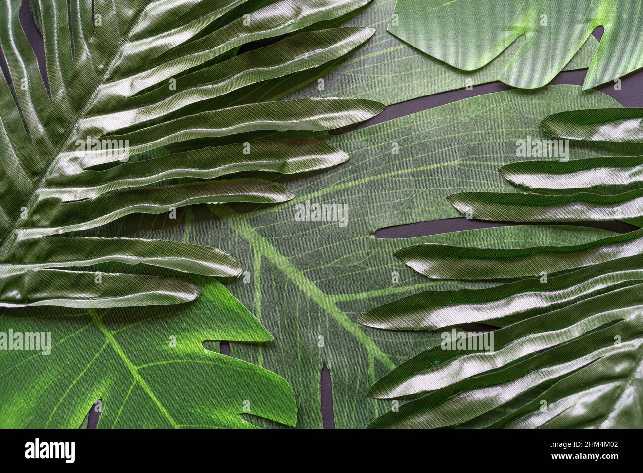 Feuilles artificielles platlay, avec espace pour la copie, dans un style botanique sombre. Banque D'Images