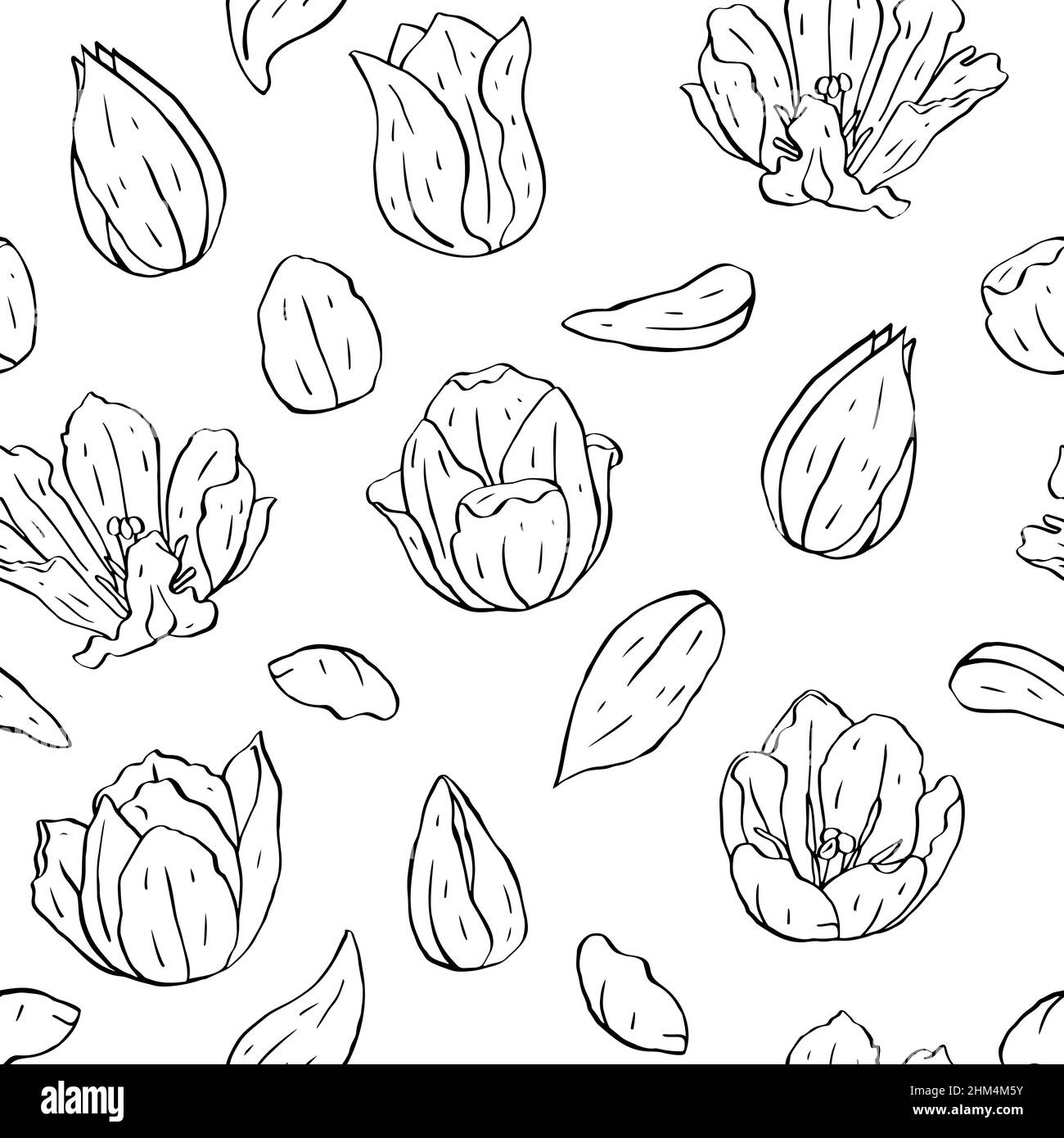 Noir et blanc monochrome vintage sans coutures avec art ligne tulipes fleurs sur blanc Illustration de Vecteur