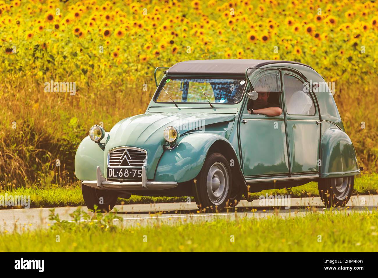 DIEREN, PAYS-BAS - 12 AOÛT 2016 : image rétro d'un Vintage Citroen 2CV sur une route locale en face d'un champ avec des tournesols fleuris Banque D'Images