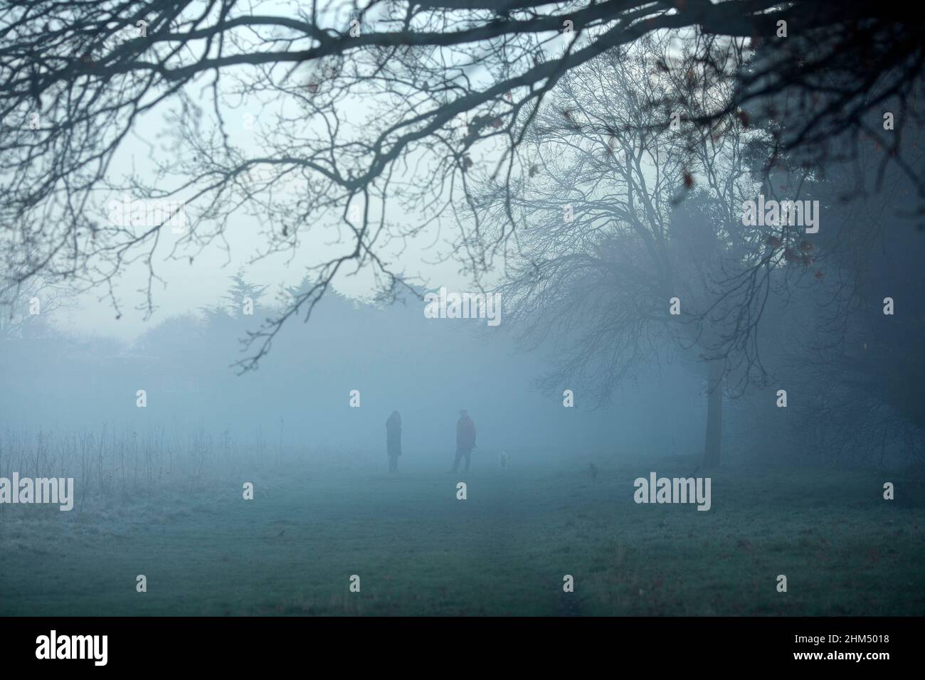 Les gens marchent les chiens dans un parc couvert de brume à Ilford, dans l'est de Londres, le matin, alors que la température a chuté. Banque D'Images