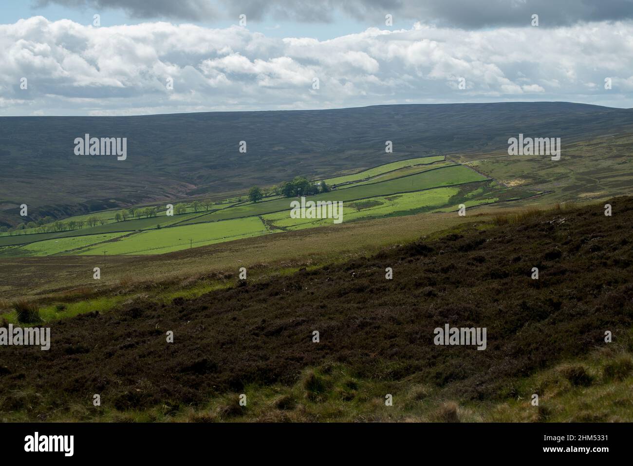 La lumière du soleil capture et met en évidence les champs d'élevage au milieu des landes dans les Dales de Durham Banque D'Images