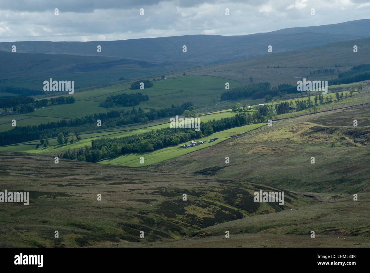 Patchwork de champs dans les landes de bruyère et mis en évidence par le soleil dans les Dales de Durham Banque D'Images