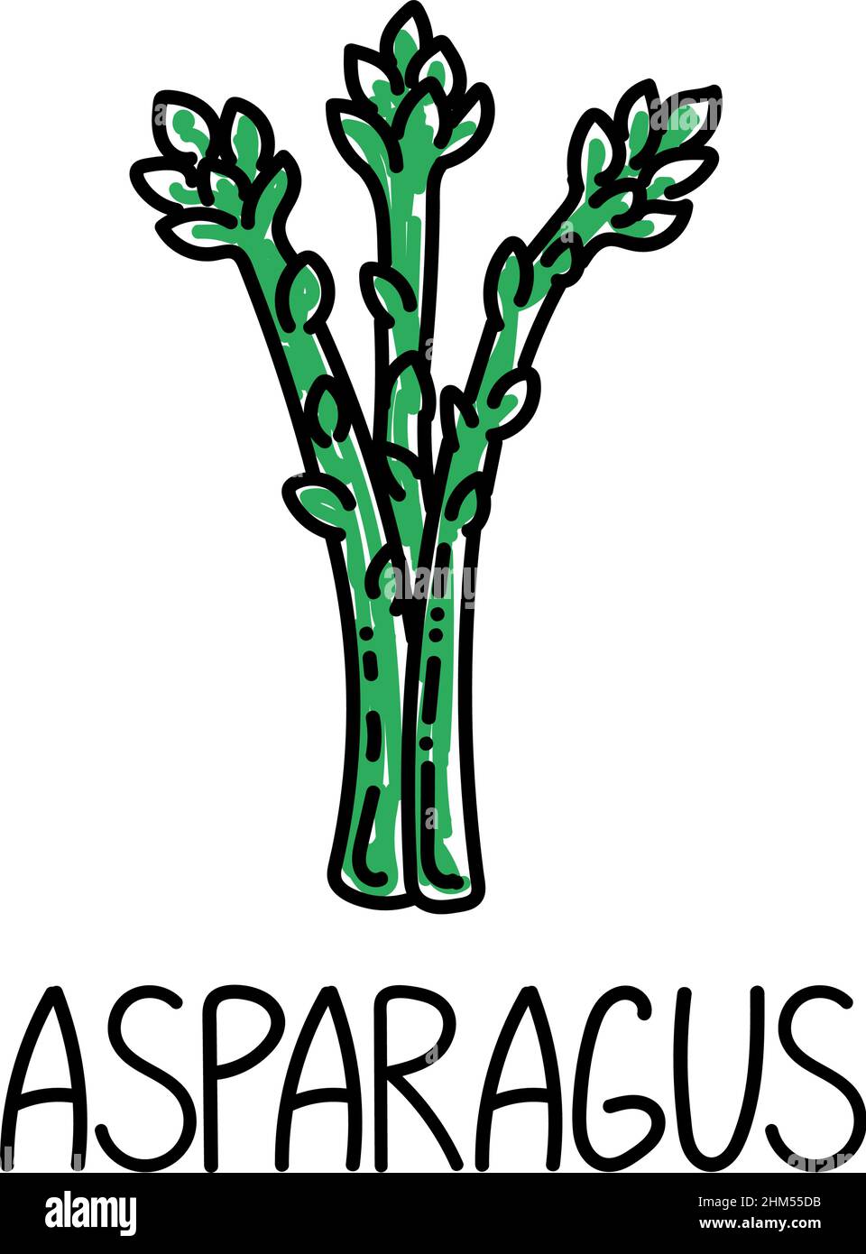 Asperges, élément dessiné en forme de coolé. Logo et emblème modèle de design d'emballage - herbes et épices - asperges. Logo dans un style linéaire tendance. Illustration de Vecteur