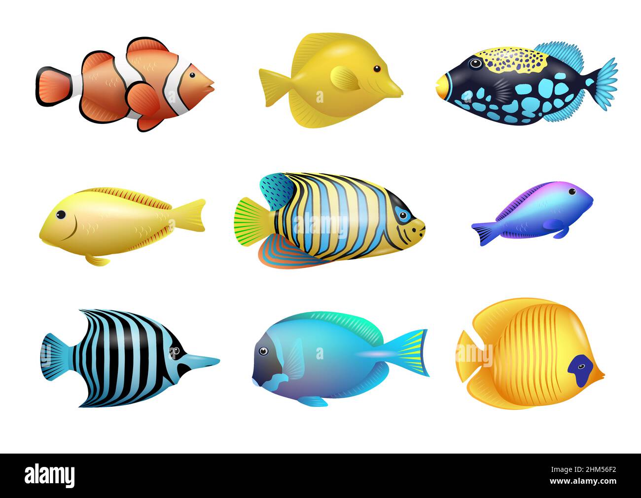 Ensemble de dessins de poissons tropicaux exotiques et lumineux provenant de récifs coralliens.Graphiques vectoriels Illustration de Vecteur