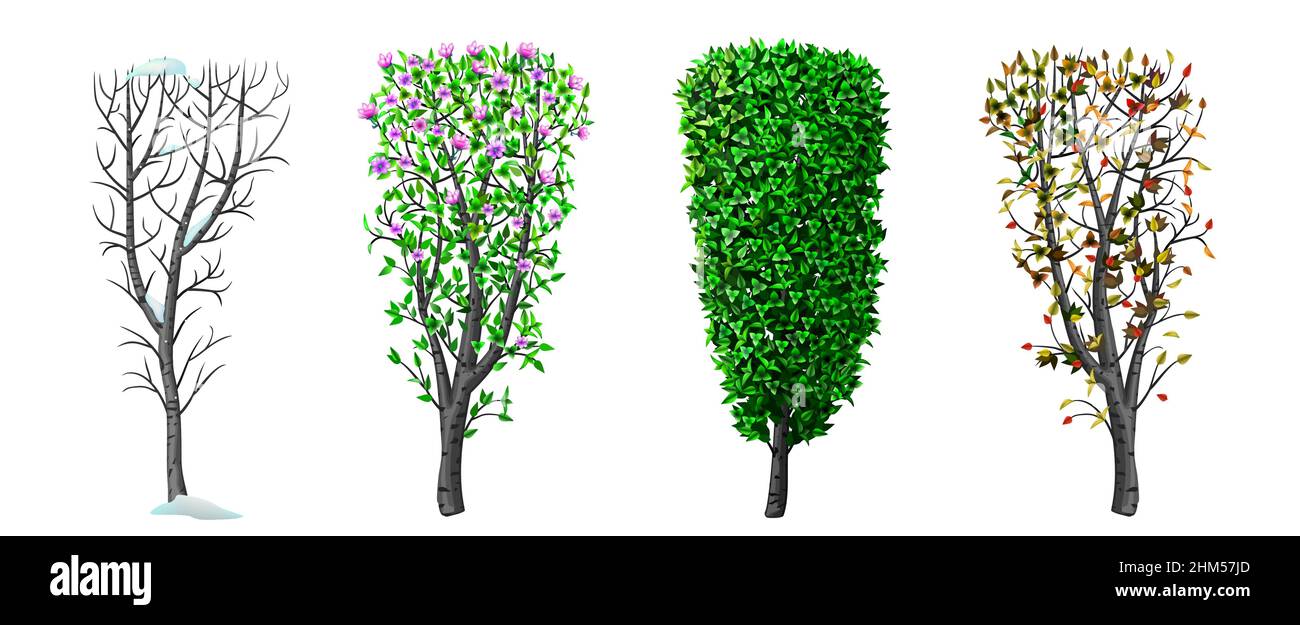 Graphiques vectoriels.Concept Bush saison hiver printemps automne été.Plantes et nature.Bannière d'arrière-plan Illustration de Vecteur