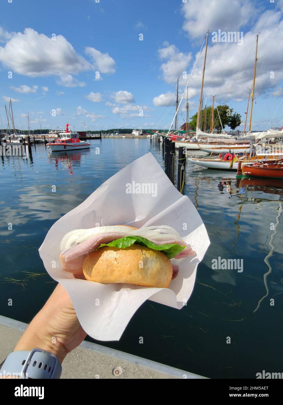 Photo en gros plan d'un petit pain tenant à la main avec du poisson et de l'oignon, d'une restauration rapide traditionnelle nord-allemande saine avec bucht rural en arrière-plan Banque D'Images