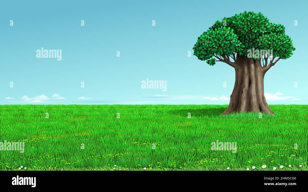 Vieux chêne sur un paysage de champ vert Illustration de Vecteur