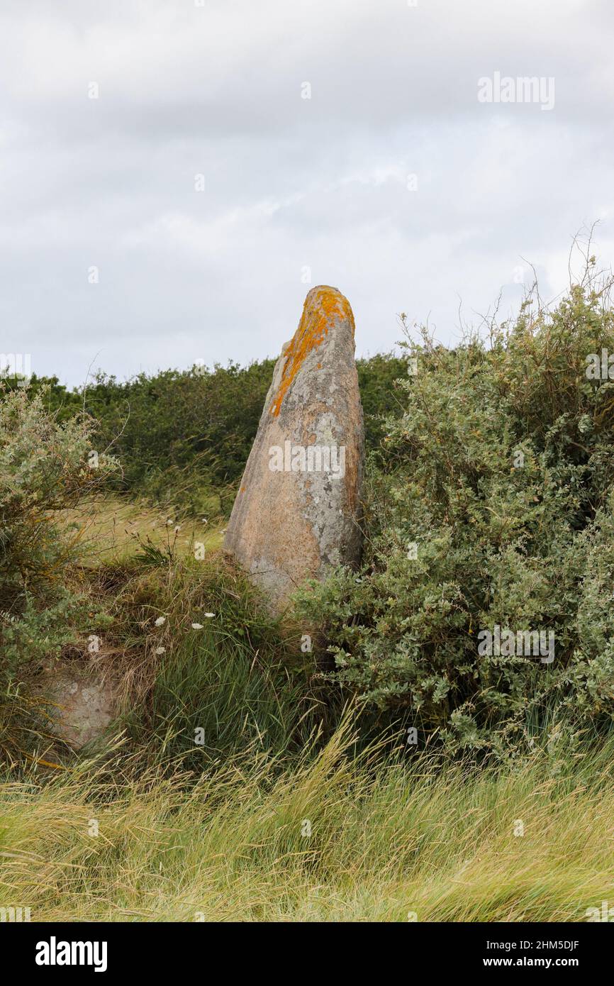 Menhir de Run ar Gam près de Trebeurden en Bretagne, France Banque D'Images