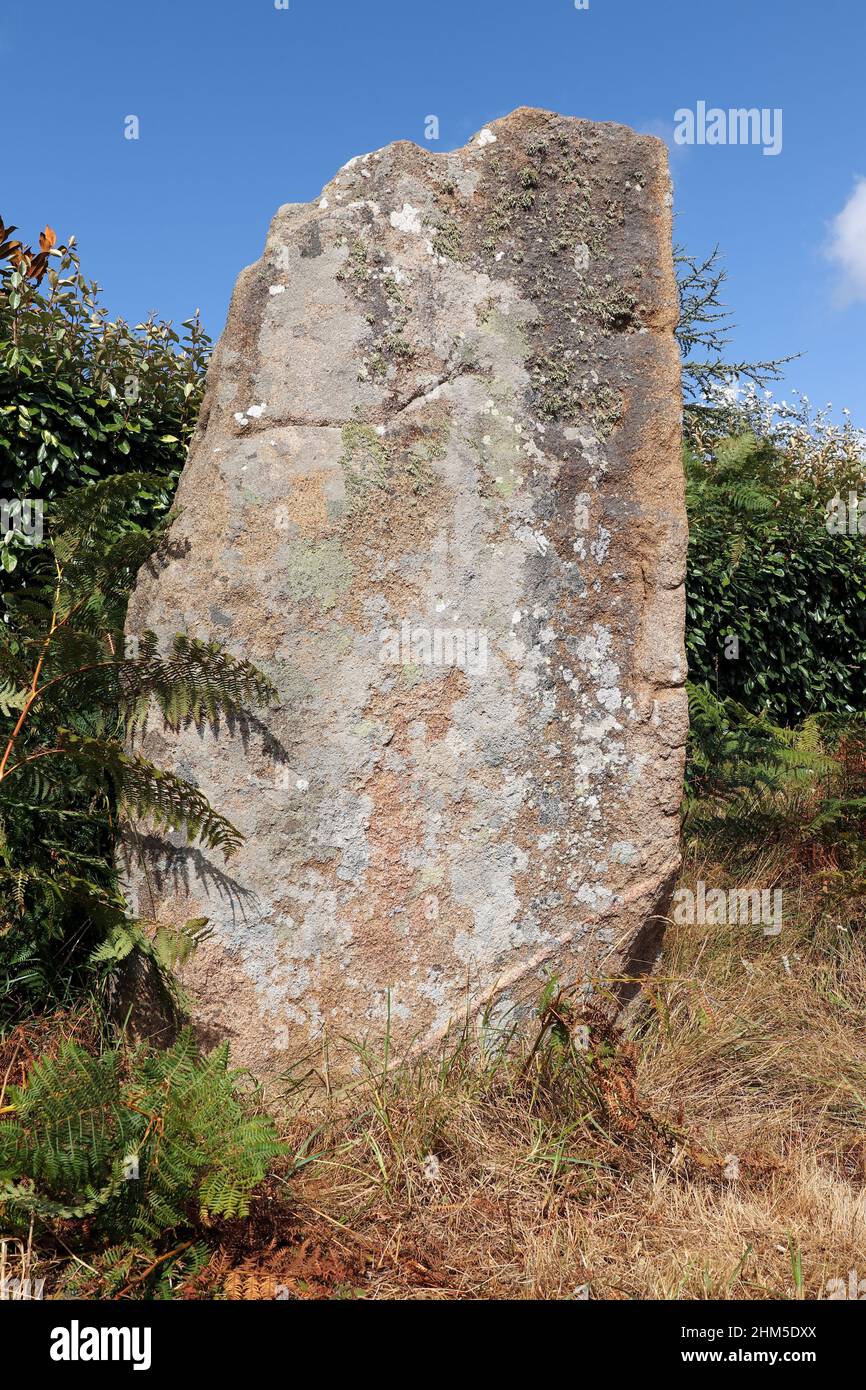 Menhir de Kerariou - monument mégalithique près de Trebeurden en Bretagne, France Banque D'Images