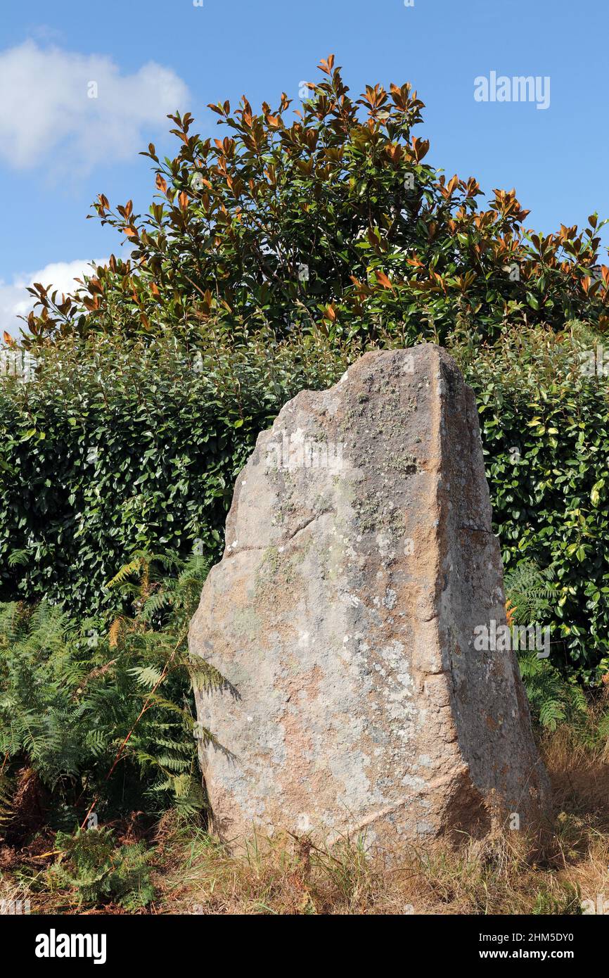 Menhir de Kerariou - monument mégalithique près de Trebeurden en Bretagne, France Banque D'Images