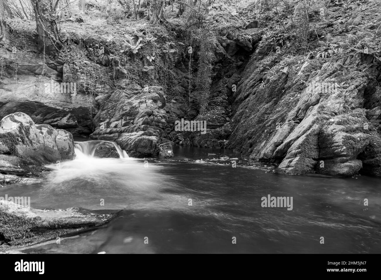 Longue exposition d'une cascade sur la rivière East Lyn En traversant les bois à Watersmeet dans le parc national d'Exmoor Banque D'Images