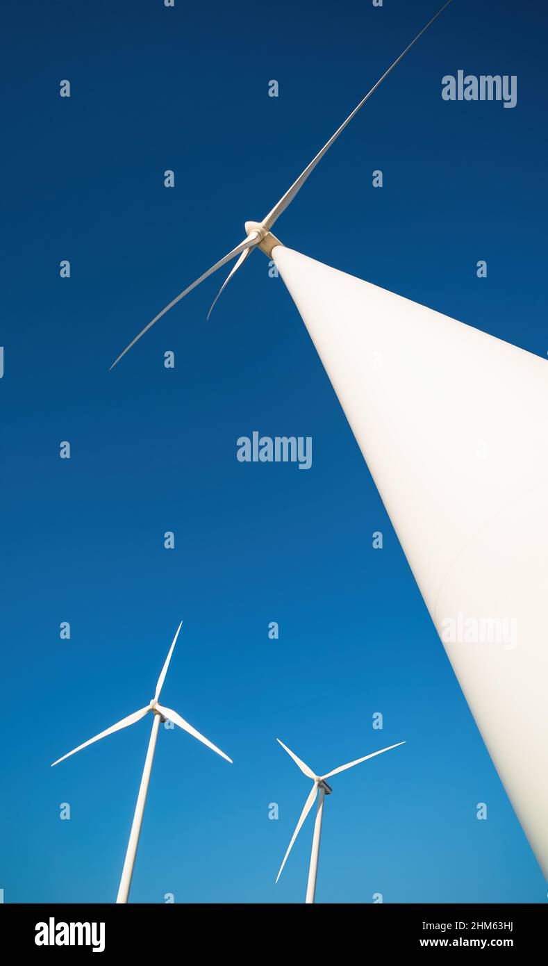 Ferme éolienne avec des générateurs d'énergie d'arbre contre ciel bleu clair.Prise de vue verticale, vue spectaculaire du dessous Banque D'Images