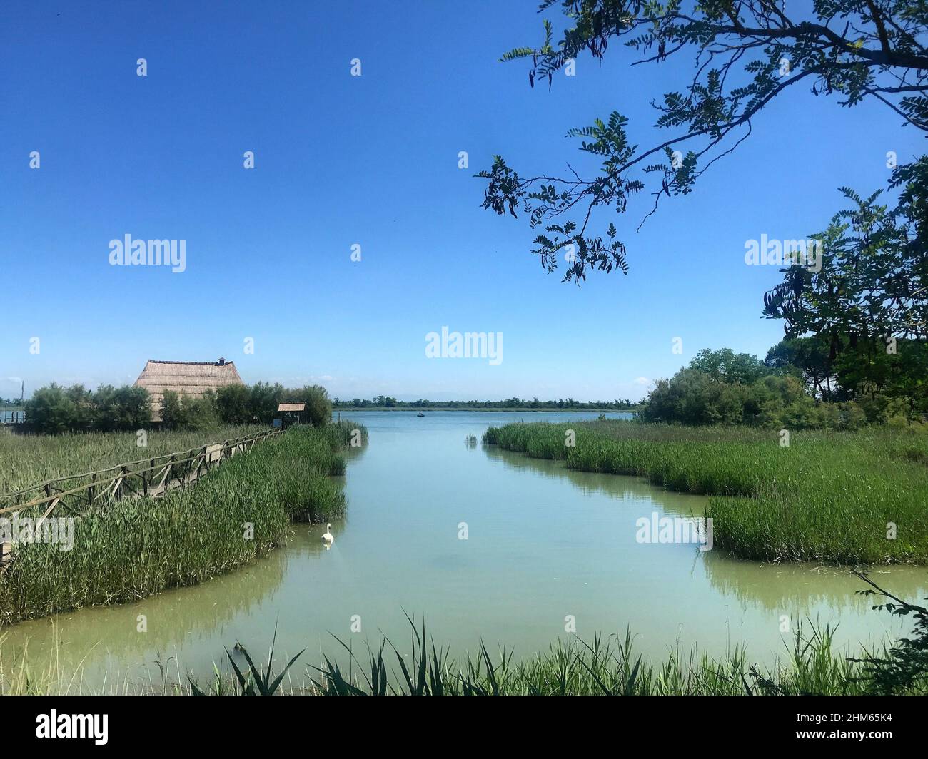 Maison de pêcheur traditionnelle 'Casoni' couverte de roseau, située dans le lagon de Caorle le long de la via dei cason, lagune de Caorle, Caorle, Italie. Banque D'Images