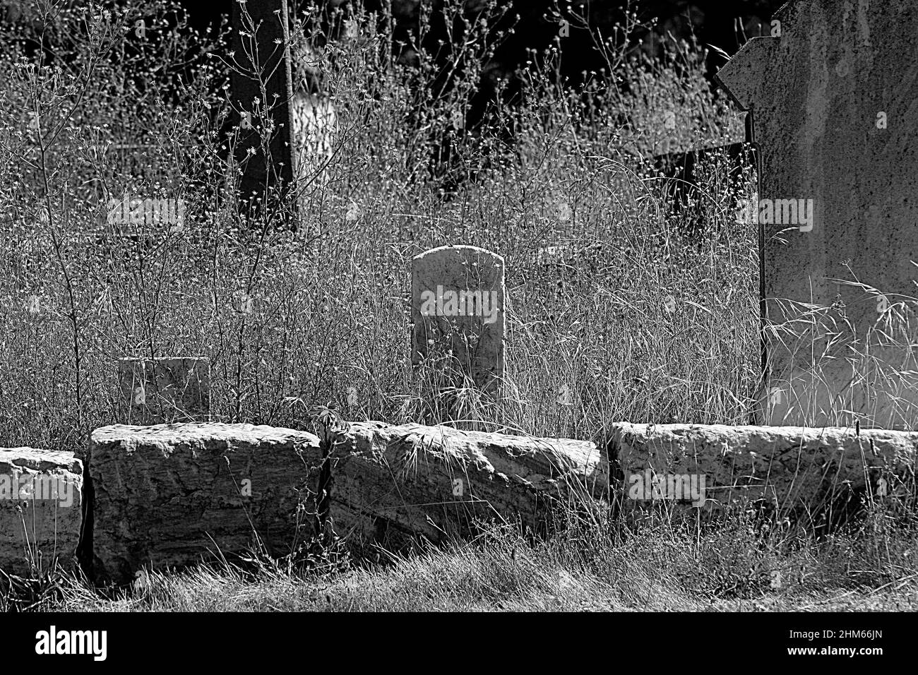Vieux cimetière noir et blanc avec pierres à tête, grosses pierres et surcultivé avec des mauvaises herbes Banque D'Images