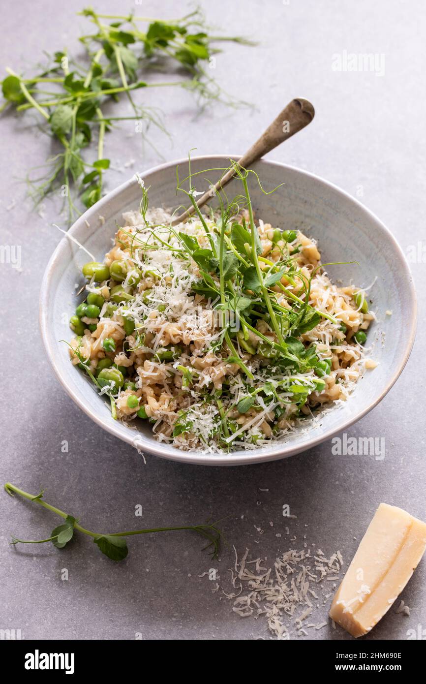 Risotto aux fèves, pois verts et pousses de pois Banque D'Images