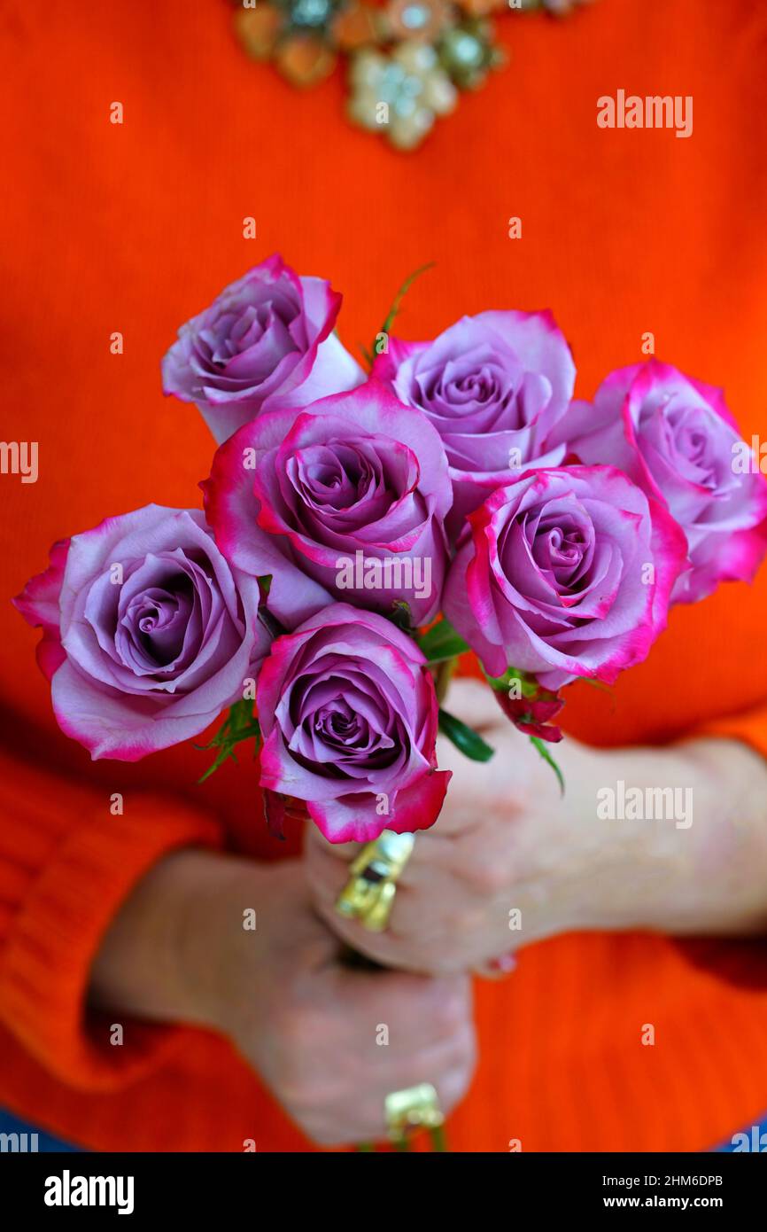 Femme tenant un bouquet de roses violets à bout de rose pour la Saint Valentin Banque D'Images