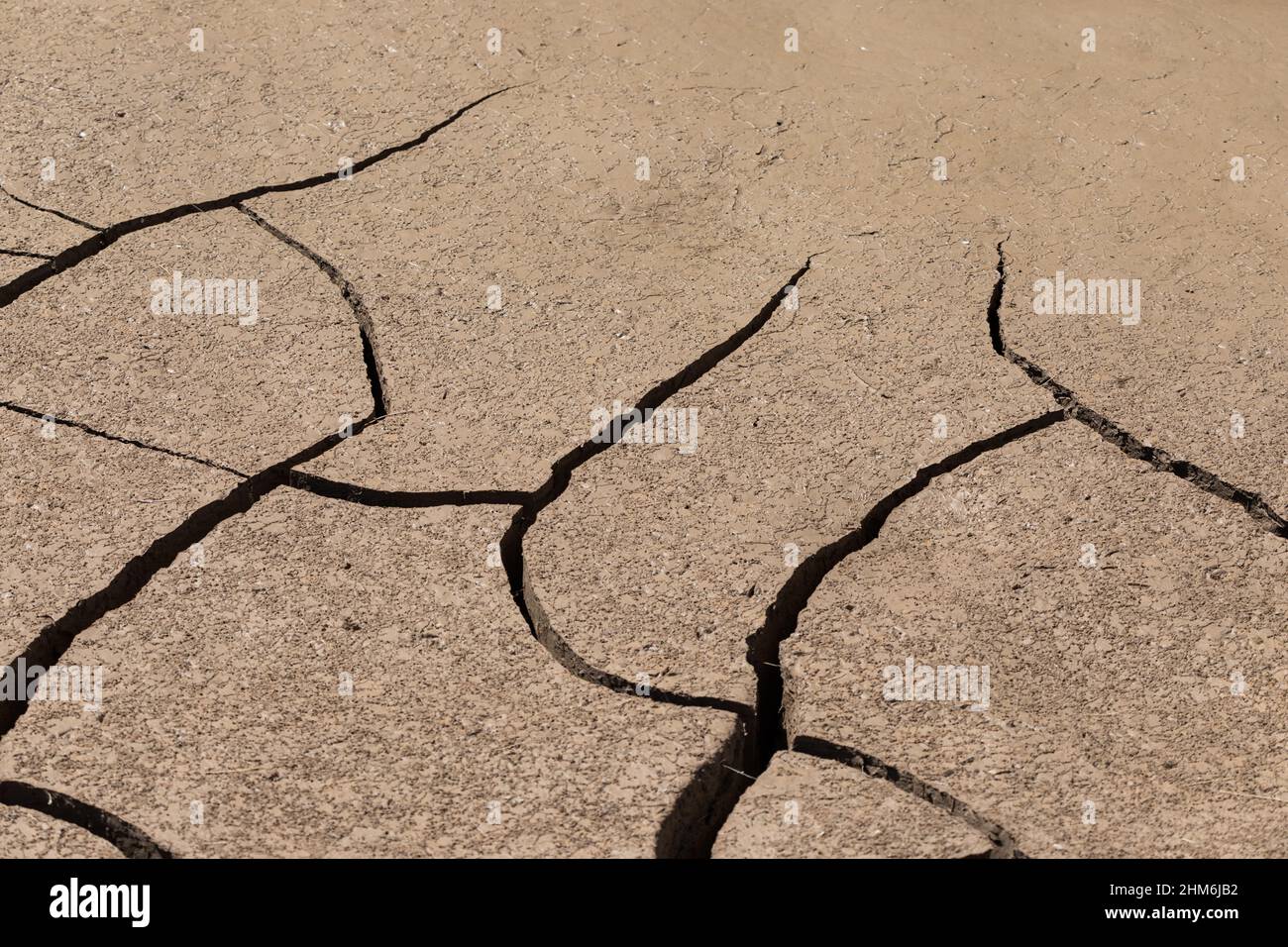 Comme la boue sèche, des fissures profondes se forment dans le lit de la crique près de Santa Elena Canyon, parc national de Big Bend, Texas. Banque D'Images