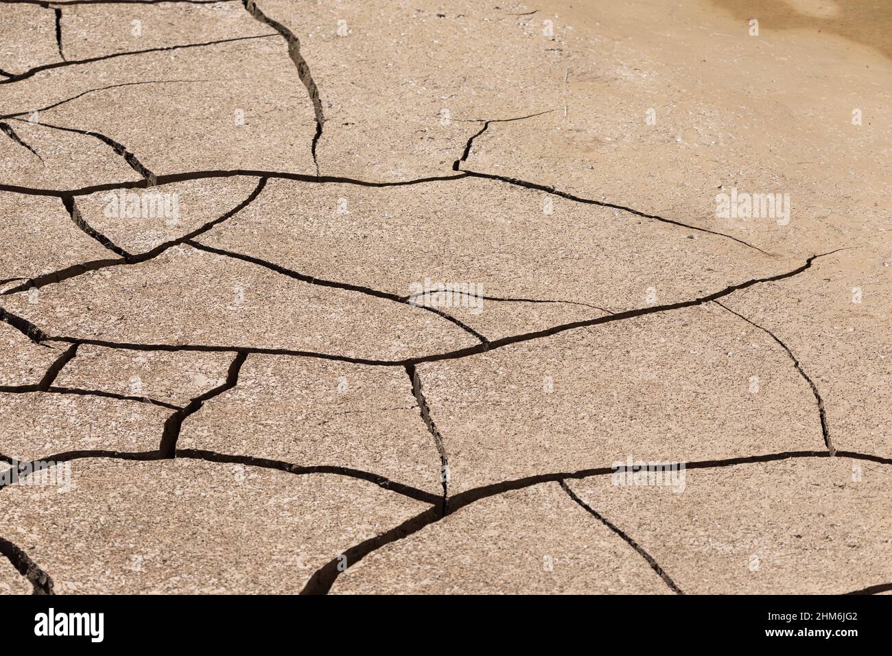 Comme la boue sèche, des fissures profondes se forment dans le lit de la crique près de Santa Elena Canyon, parc national de Big Bend, Texas. Banque D'Images